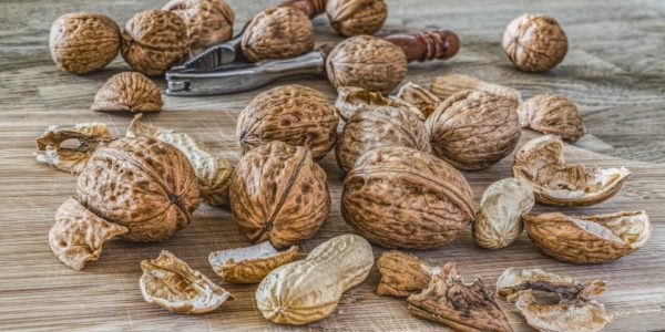 nuts-2971675_1920 nuts-2971675_1920