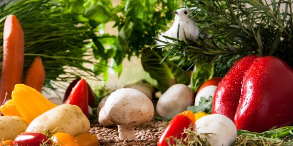 vegetables-landscape-2943500_1920 vegetables-landscape-2943500_1920